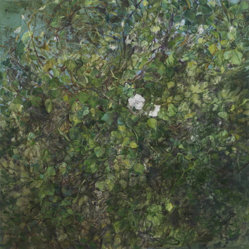 120X120cm Fleur blanche, 2011-2017