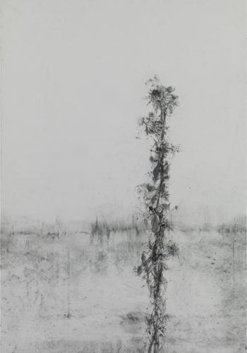 120X80cm dessin III, 2013 120X80cm dessin III, 2013