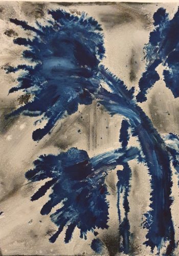 Flowers 67 - 2017 - 56 x 50 cm Flowers 67 - 2017 - 56 x 50 cm